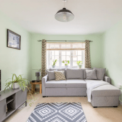 A bright living room with pale green walls, a large window with patterned curtains, a gray sectional sofa, geometric rug, TV on a stand, and potted plants—perfect for Airbnb Management or fully managed holiday lets. A ceiling light hangs in the center.